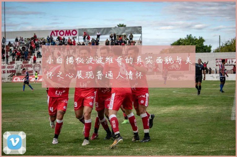 小白揭秘波波维奇的真实面貌与关怀之心展现普通人情怀