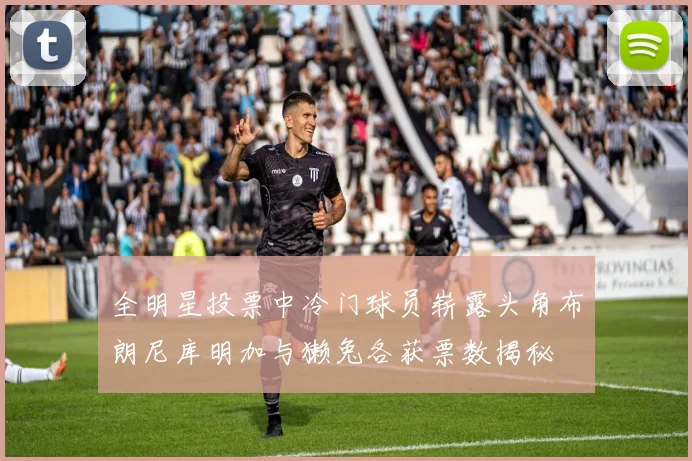 全明星投票中冷门球员崭露头角布朗尼库明加与獭兔各获票数揭秘
