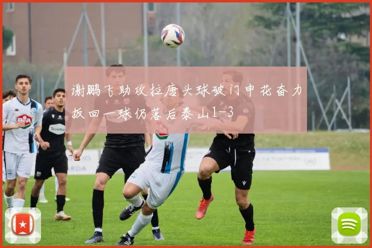 谢鹏飞助攻拉唐头球破门申花奋力扳回一球仍落后泰山1-3